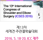 ��13�� �����?�ְ����м���ȸ